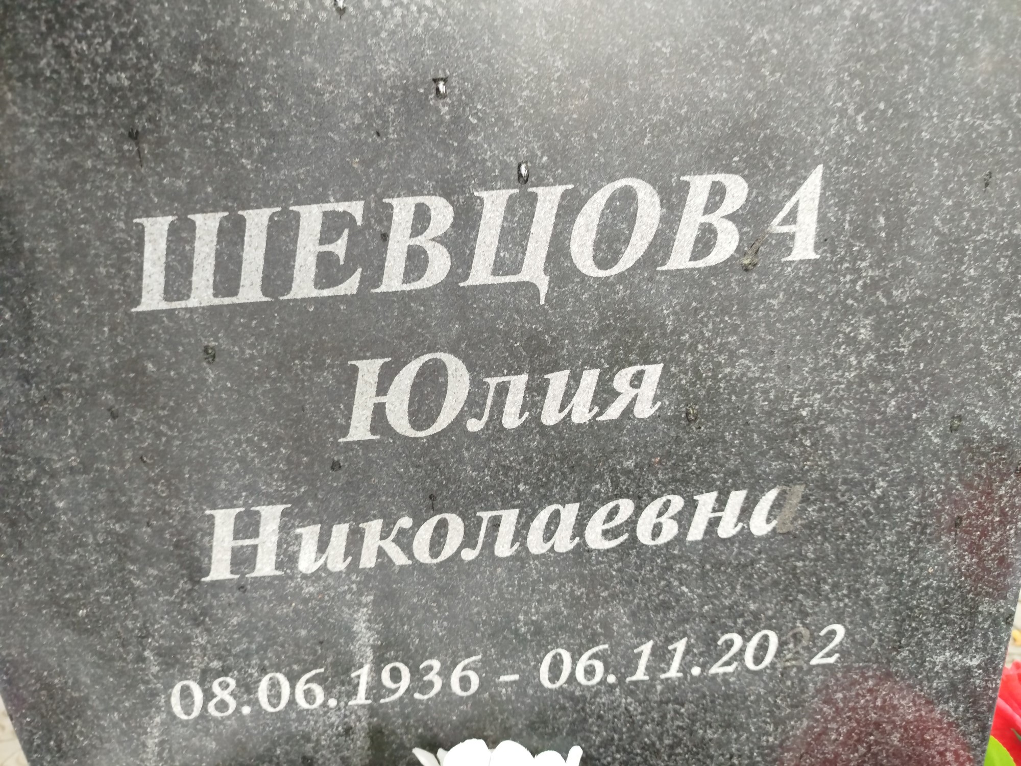 Шевцова Юлия Николаевна