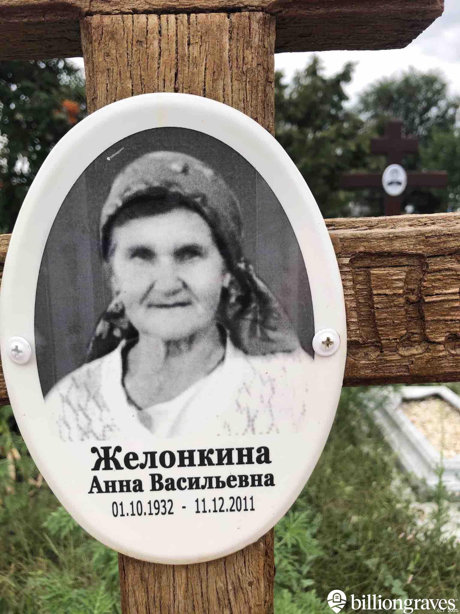Желонкина Анна Васильевна