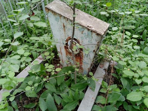 Стыглиц Иван Иванович