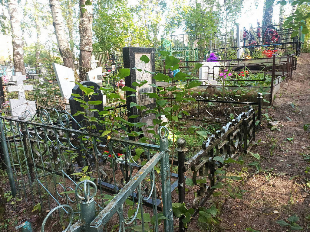 Сажин Сергей Николаевич