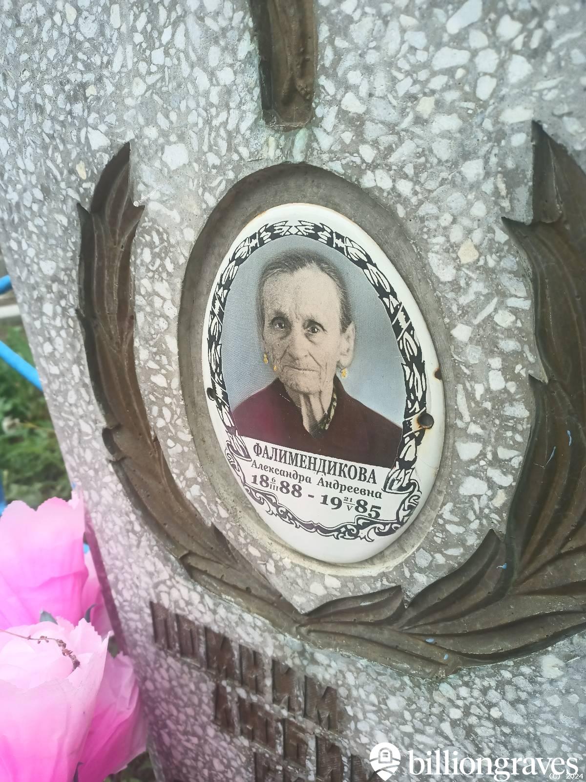 Фалимендикова Александра Андреевна