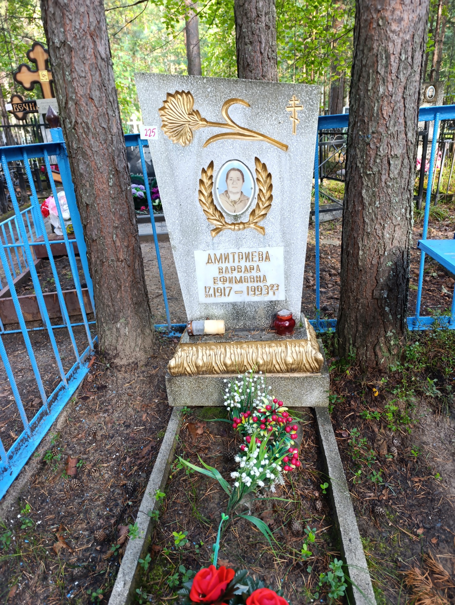 Дмитриева Варвара Ефимовна