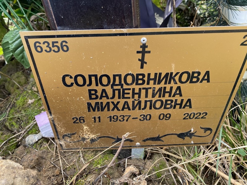 Солодовникова