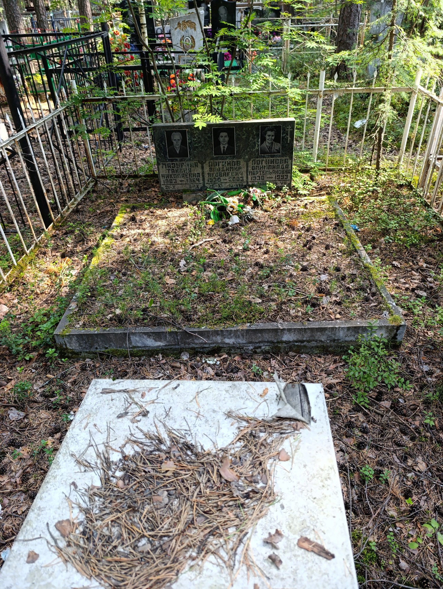 Логинова Олимпиада Мартемьяновна