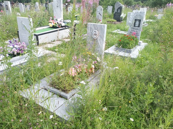Колотова Наталья Степановна