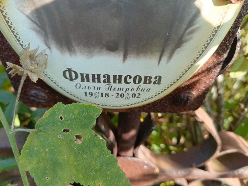 Финансова