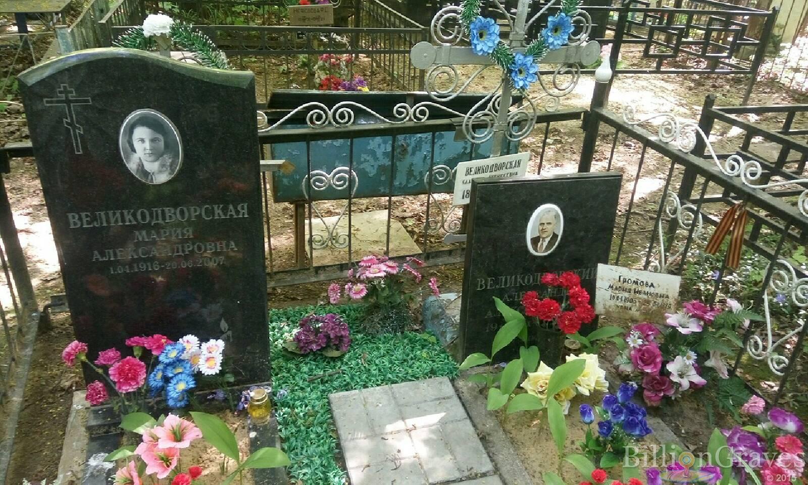 великодворский александр александрович