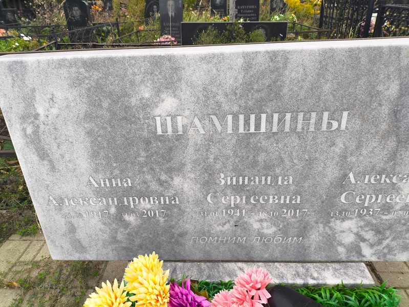 Шамшина