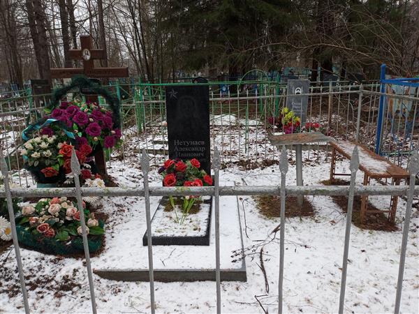 Нетунаев Александр Иванович