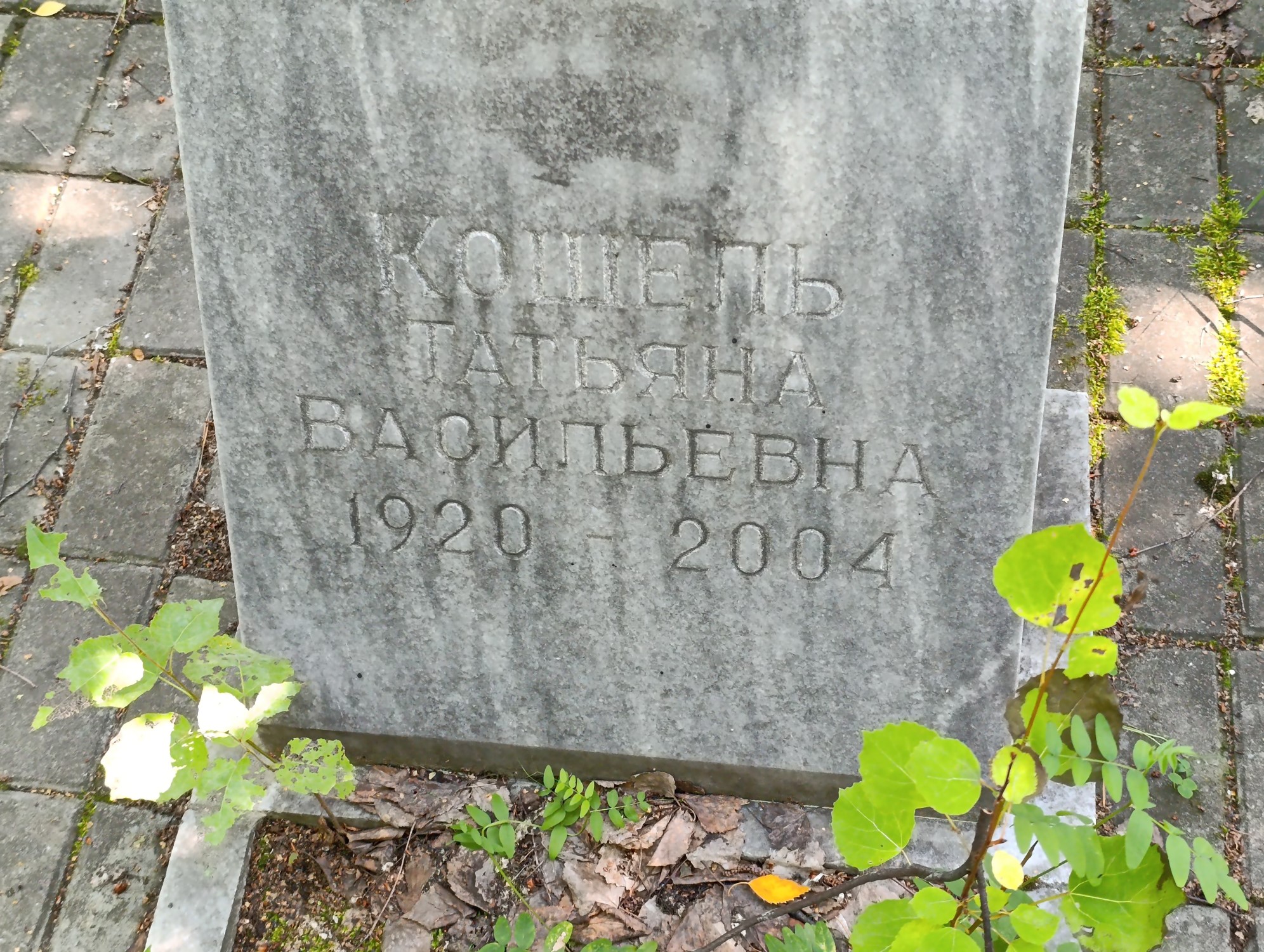 Кошель Татьяна Васильевна
