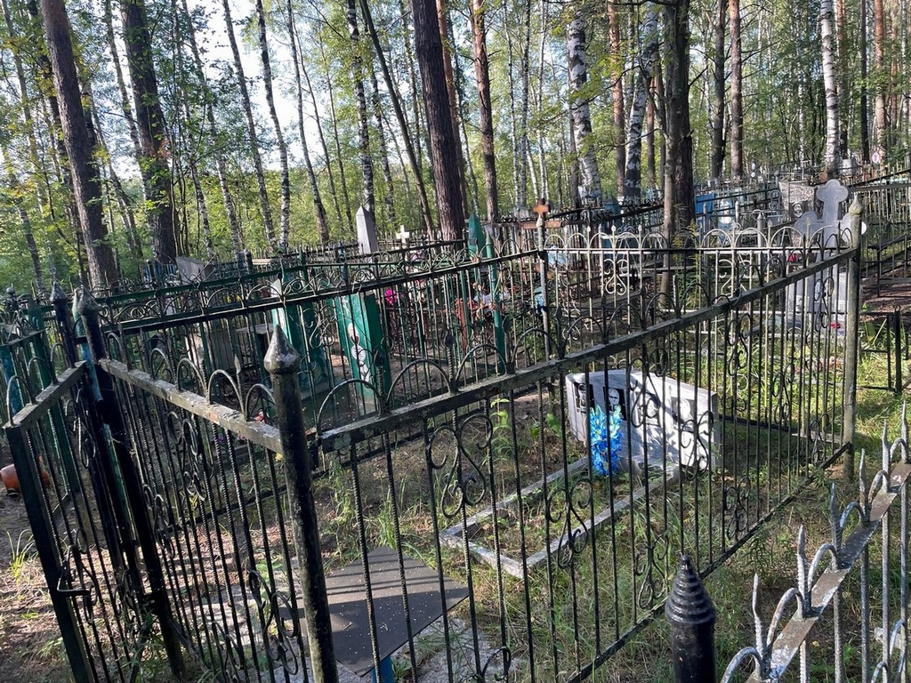 Цветков Александр Владимирович