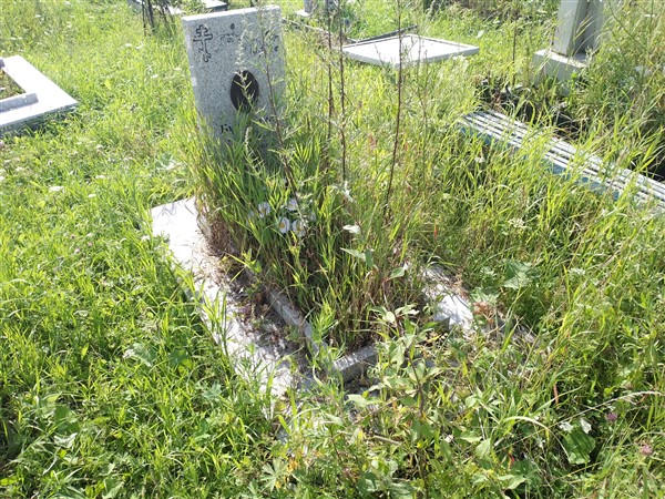Буторина Прасковья Дмитриевна