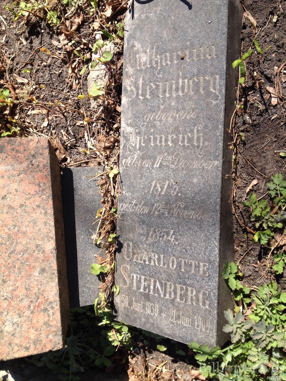 Steinberg Charlotte