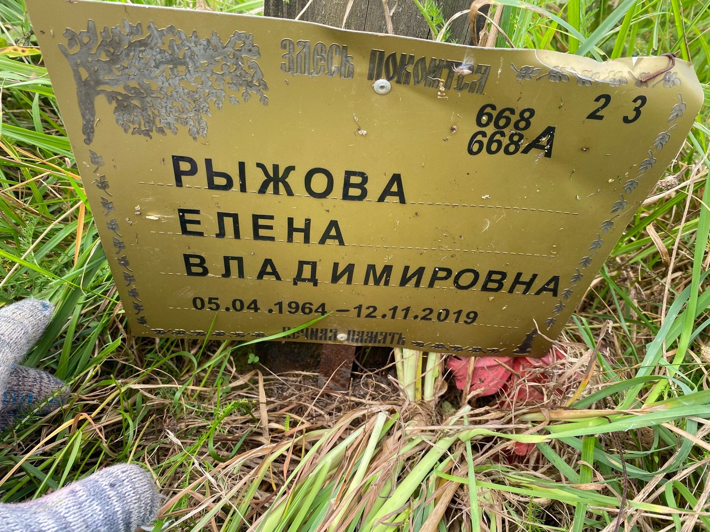 Рыжова