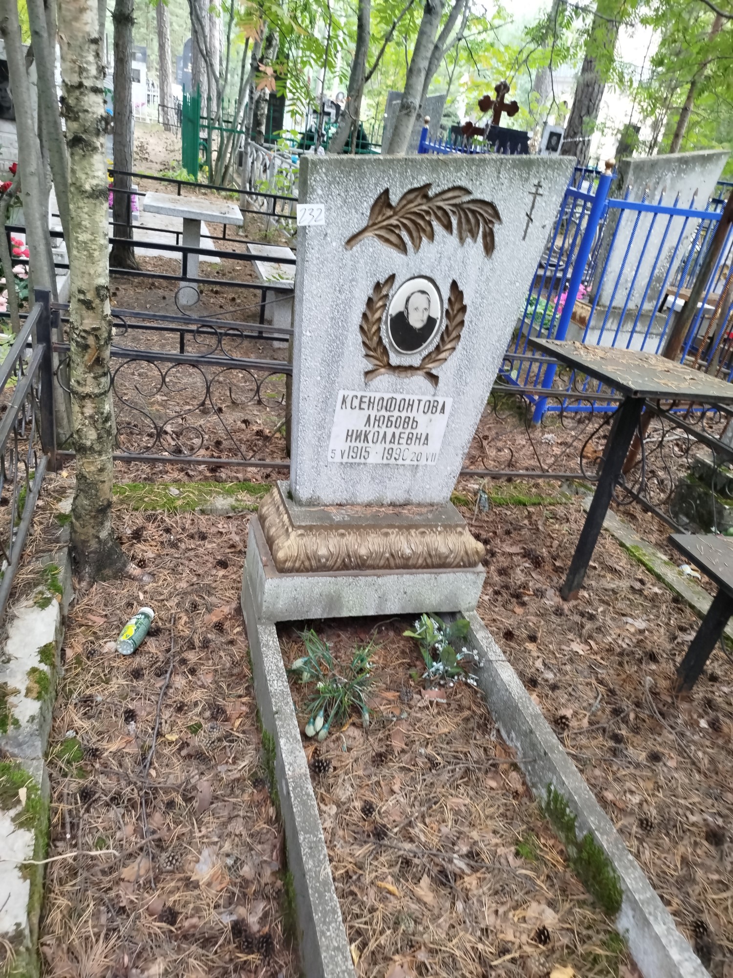 Ксенофонтова Любовь Николаевна