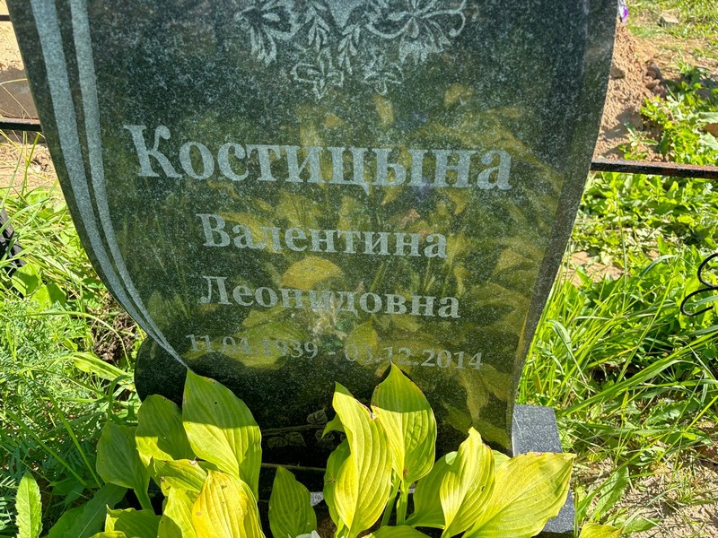 Костицына