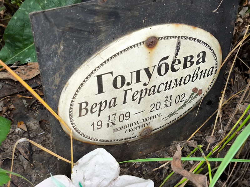 Голубева