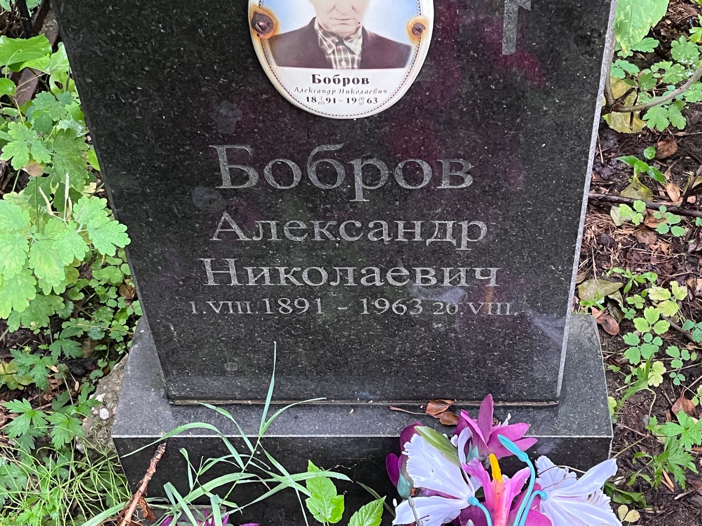 Бобров
