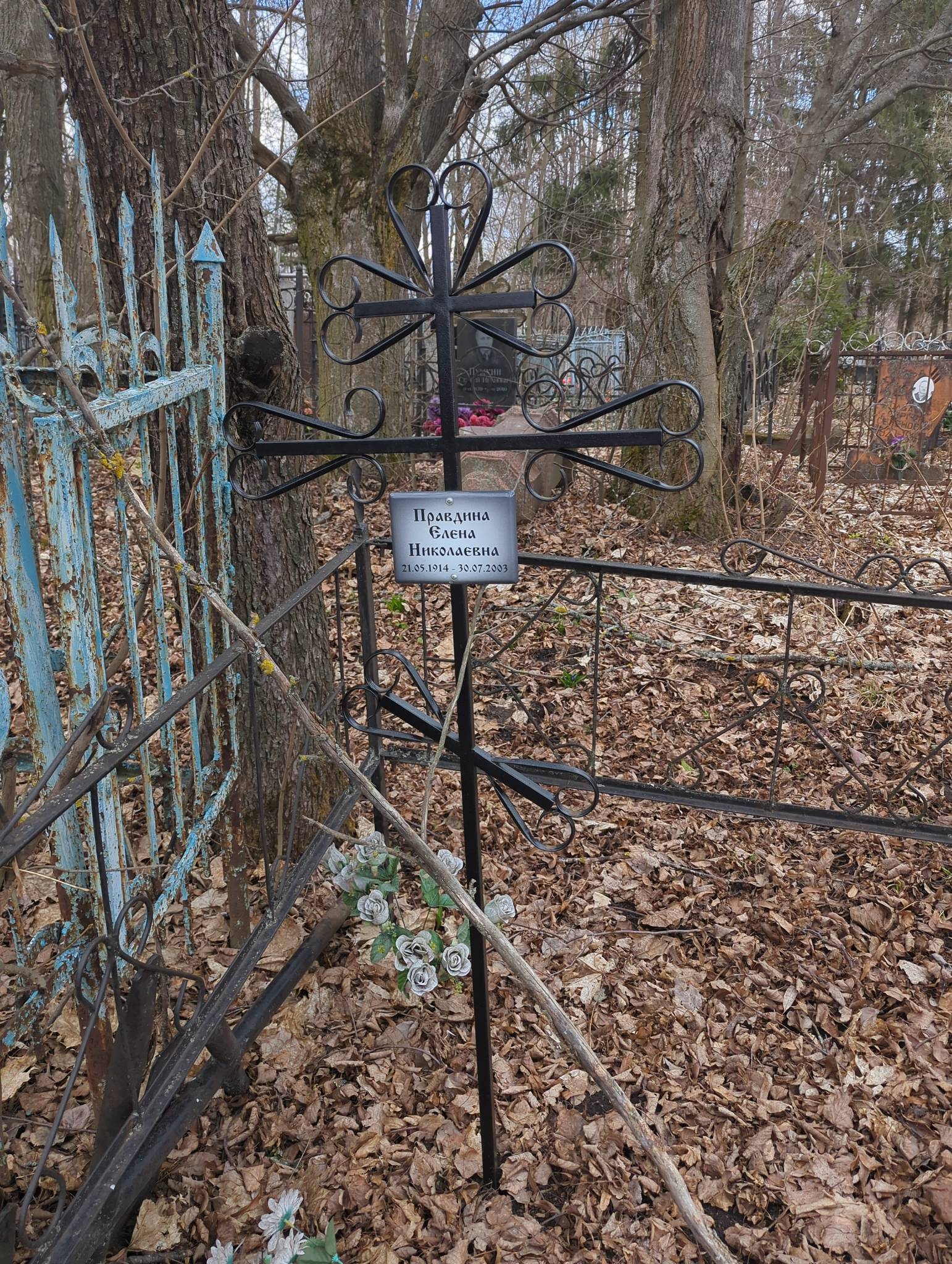 Правдина Елена Николаевна