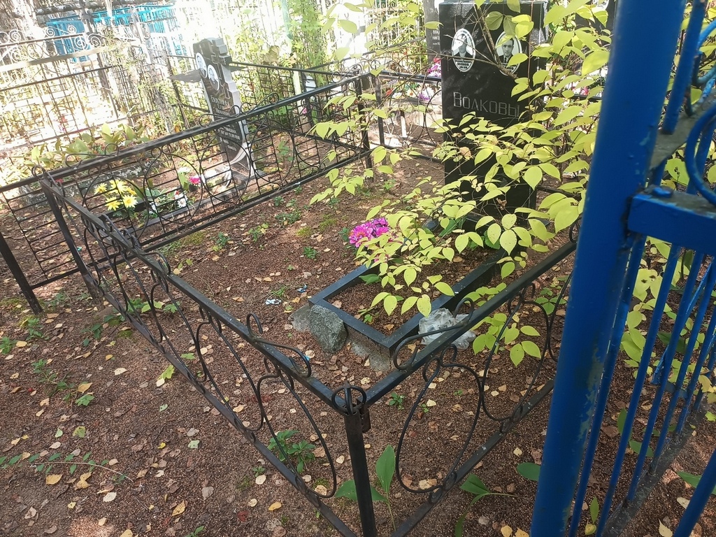 Волков Владимир Иванович