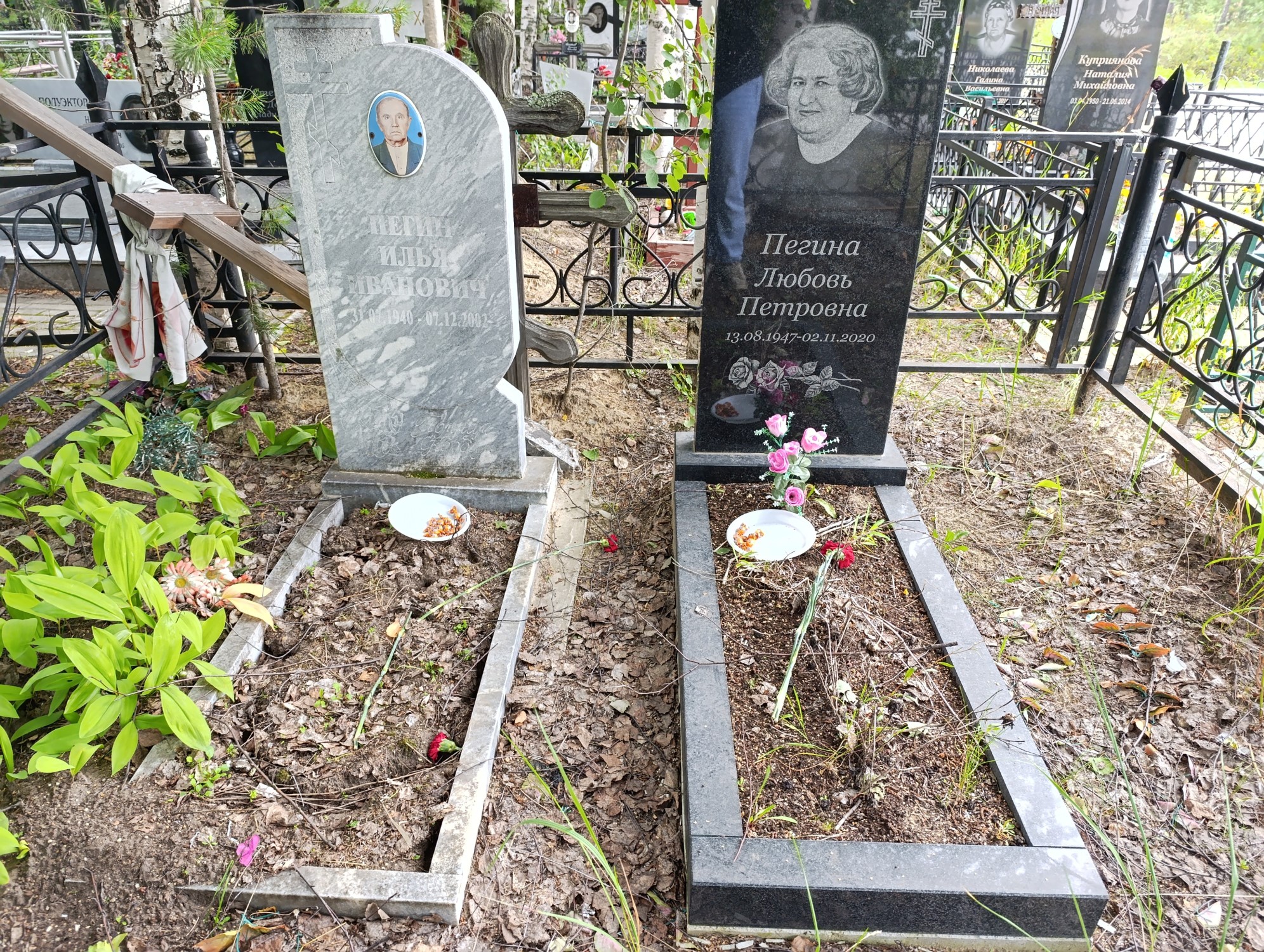 Пегина Любовь Петровна