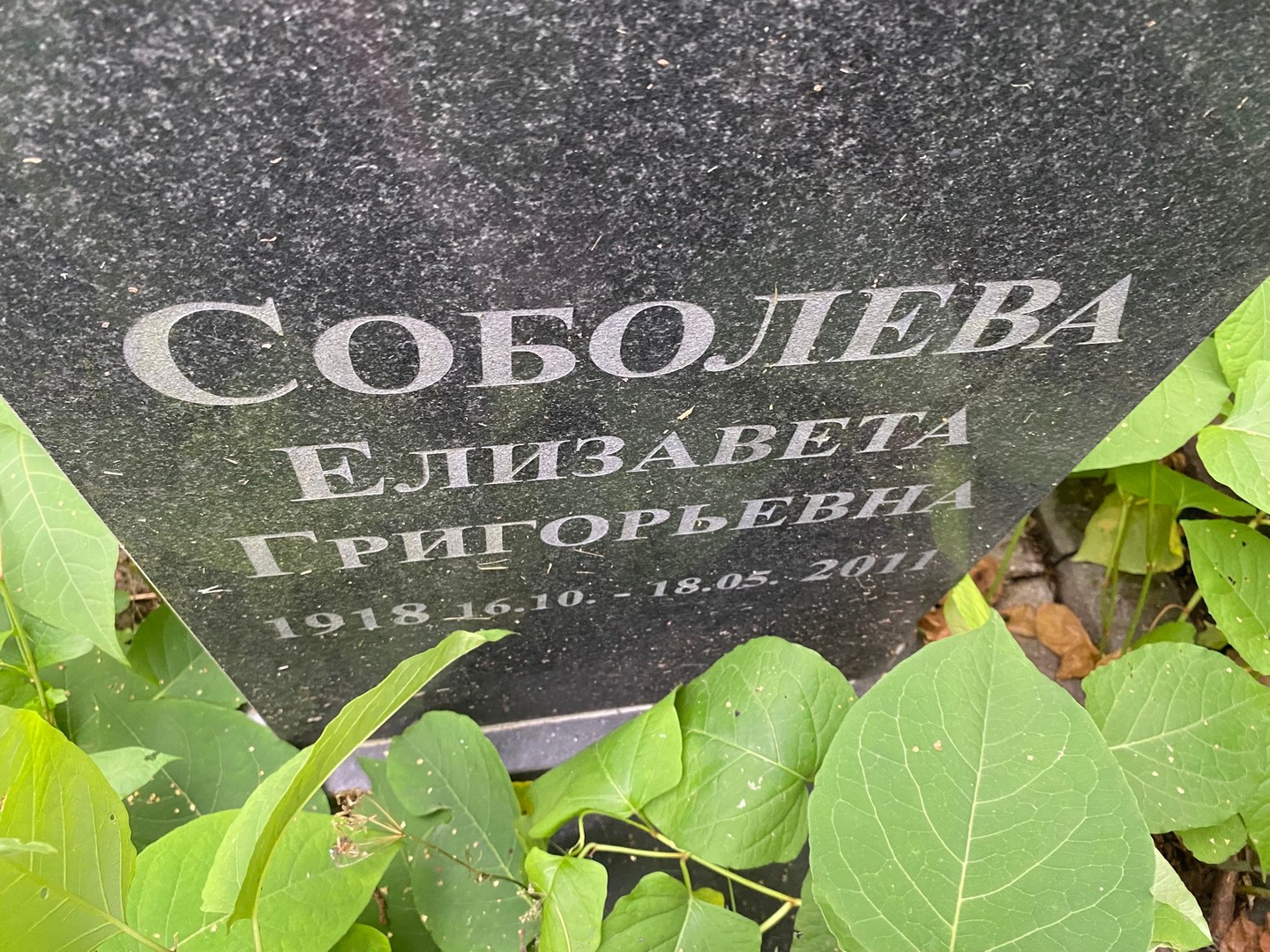 Соболева