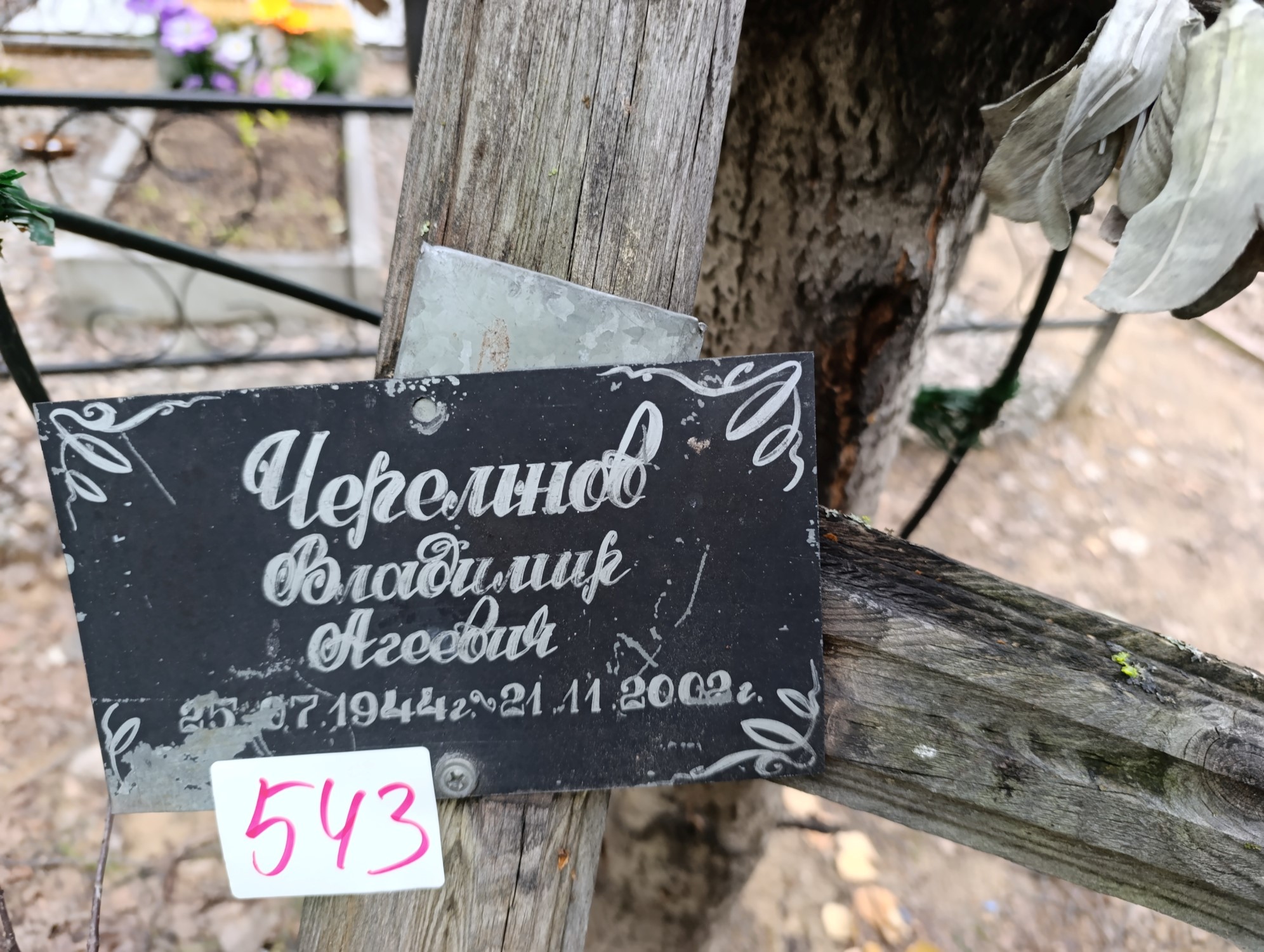 Черемнов Владимир Агеевич