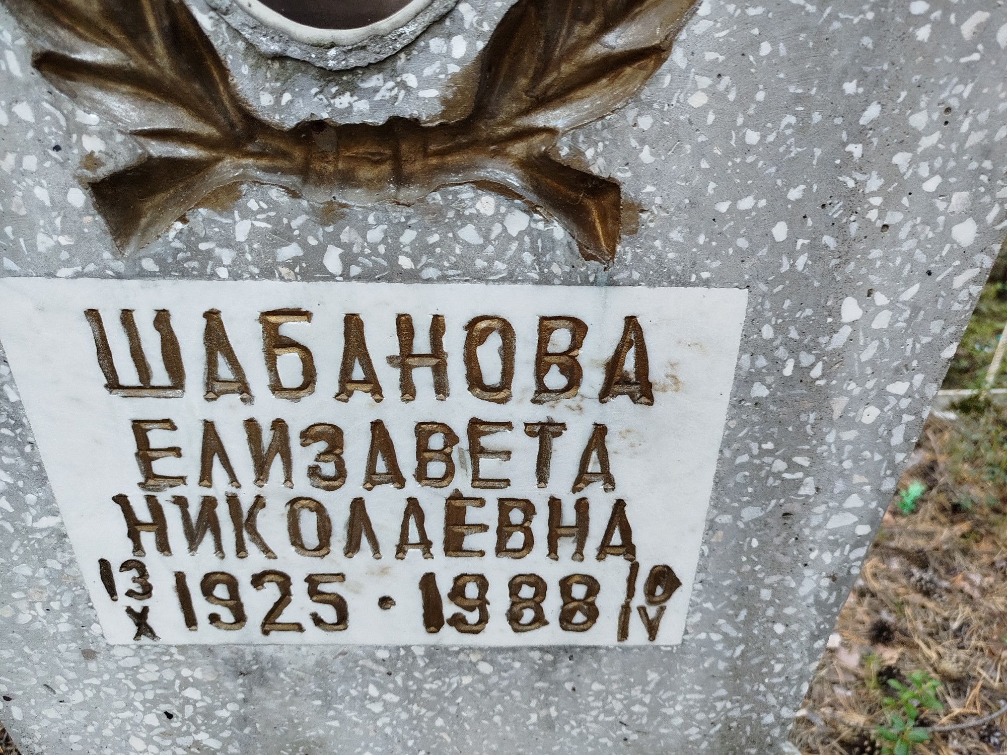 Шабанова Елизавета Николаевна
