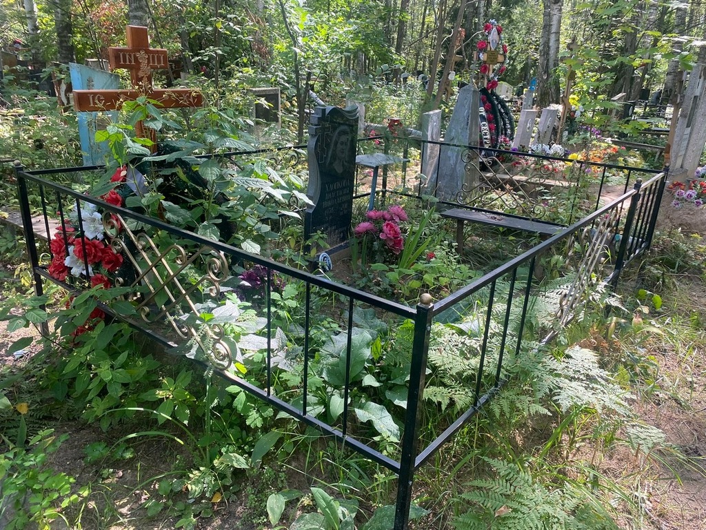 Хлопкова Анастасия Николаевна