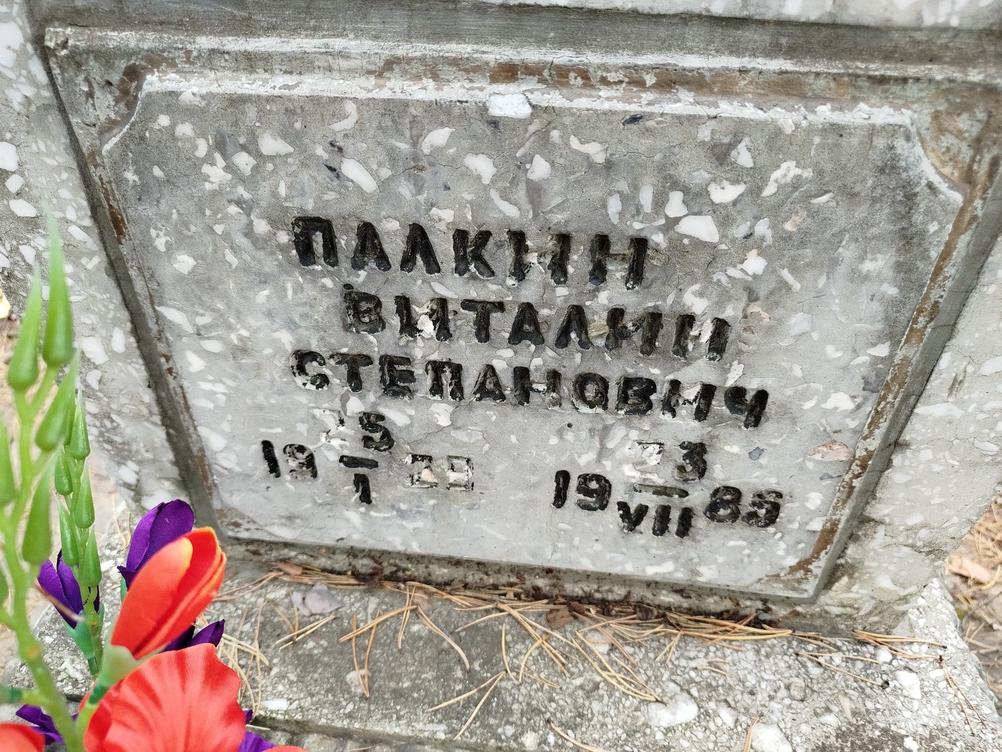 Палкин Виталий Степанович