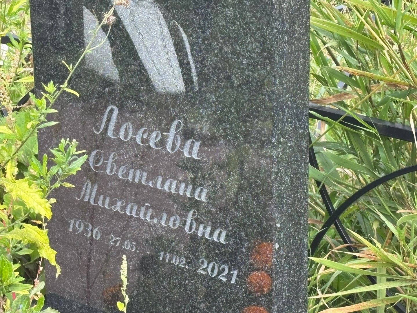 Лосева