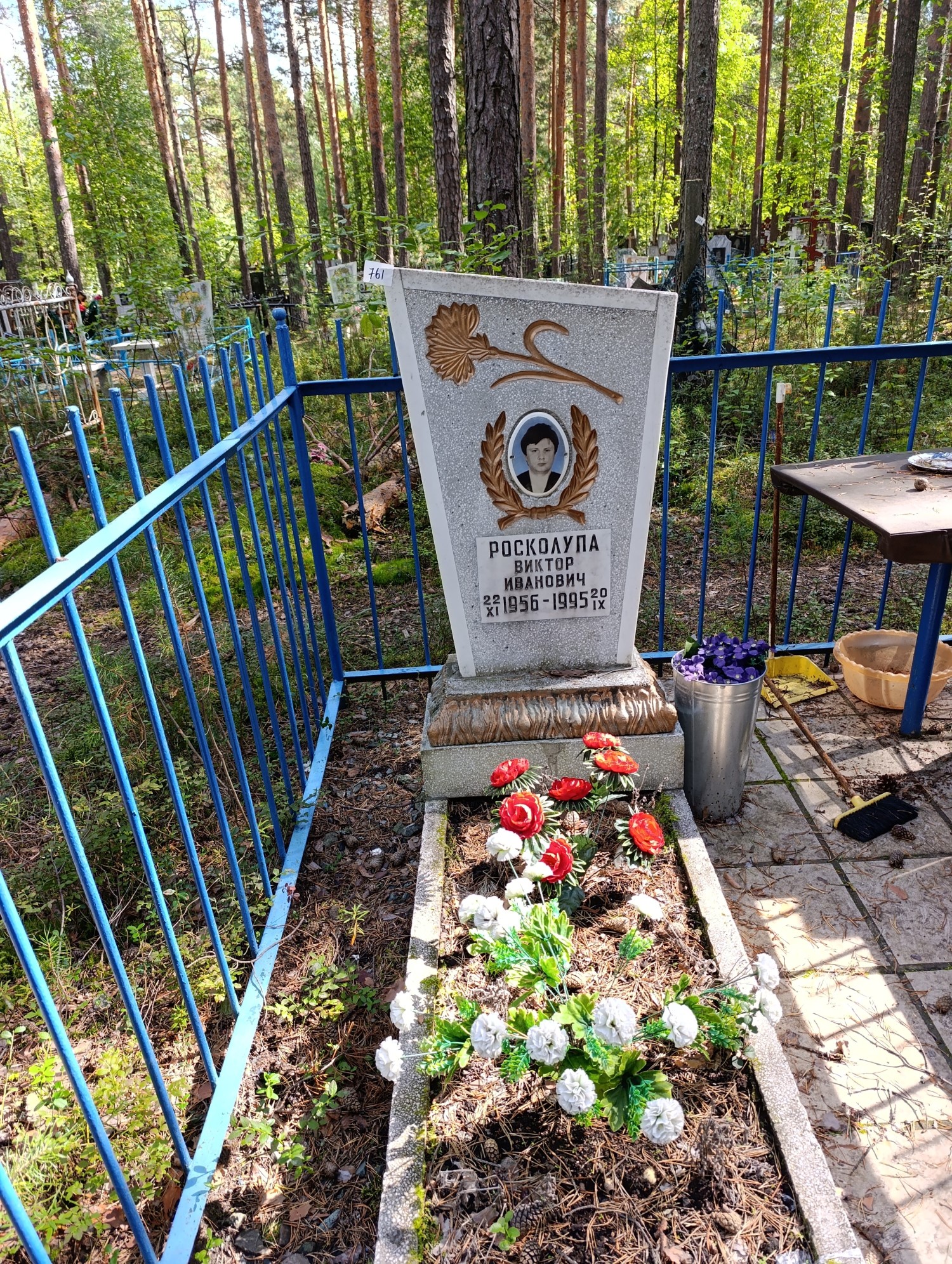 Росколупа Виктор Иванович