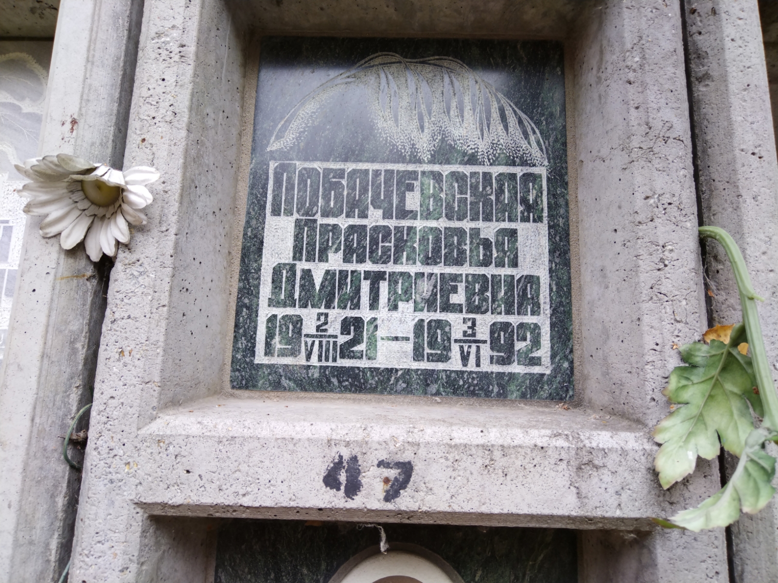 Лобачевская Прасковья Дмитриевна