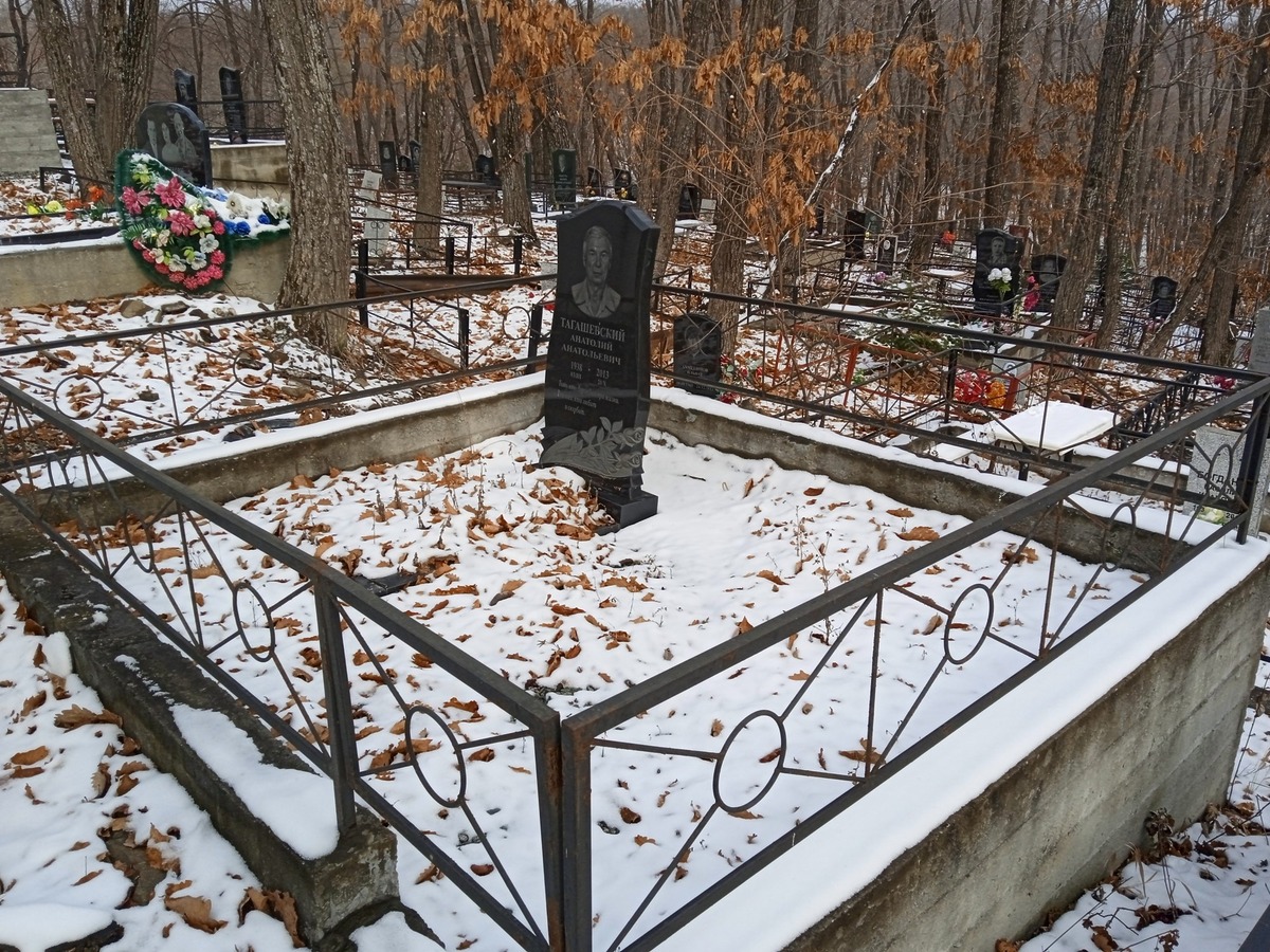 Тагашеский Анатолий Анатольевич