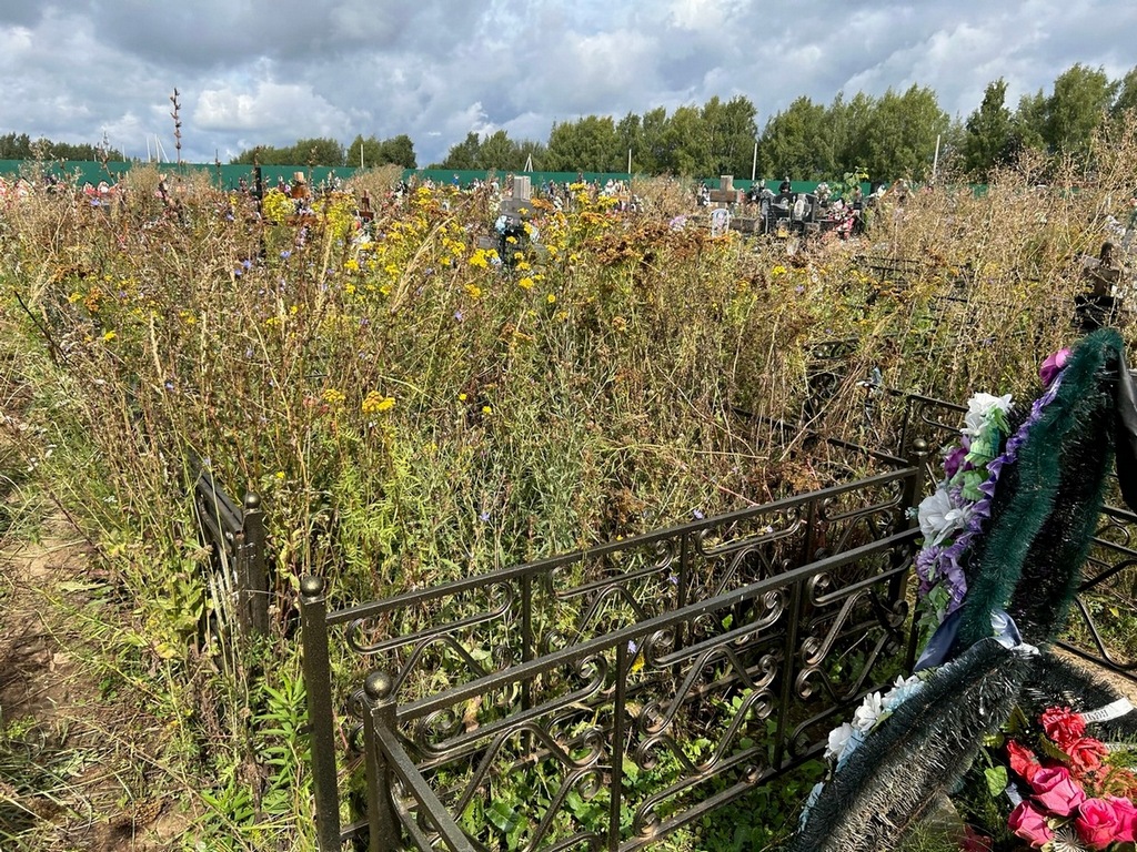 Плахтий Владимир Иванович