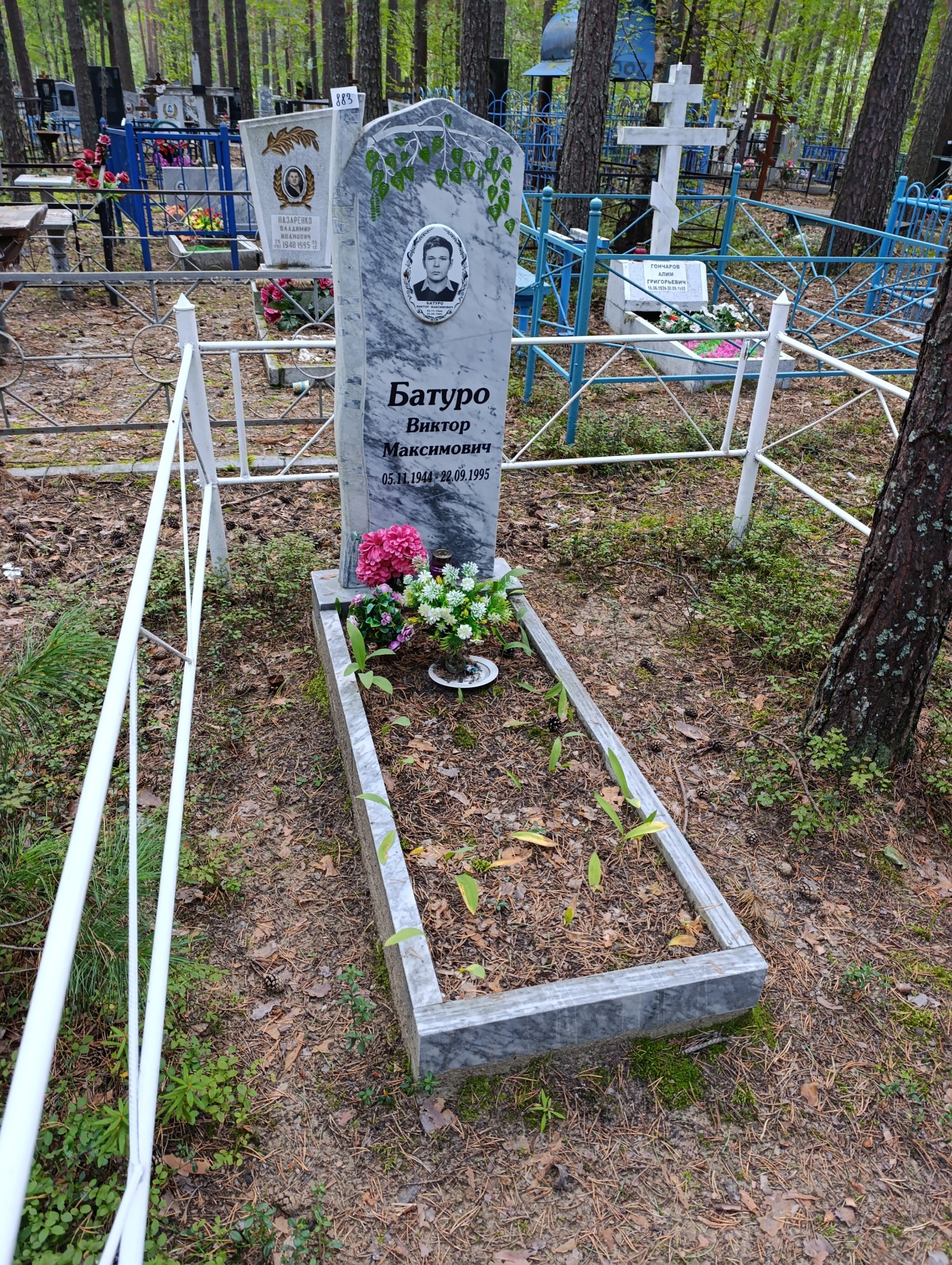 Батуро Виктор Максимович