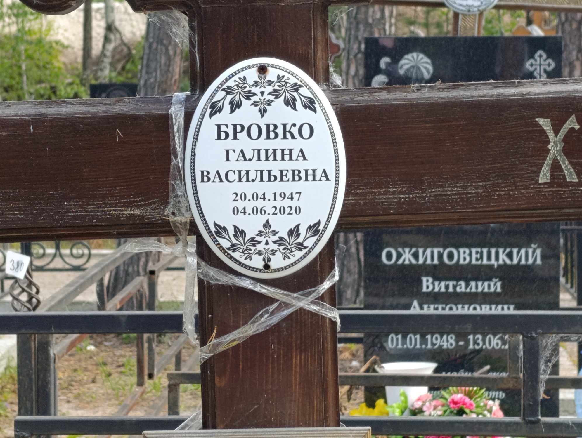 Бровко Галина Васильевна