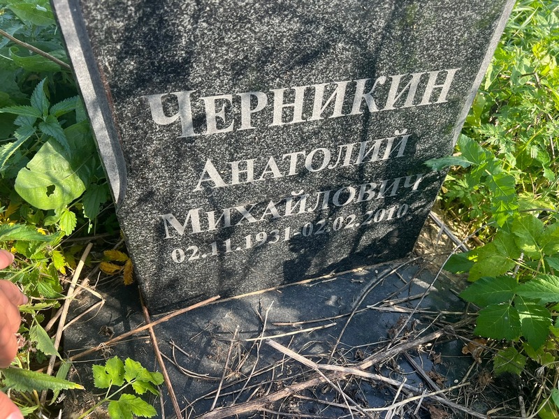 Черникин