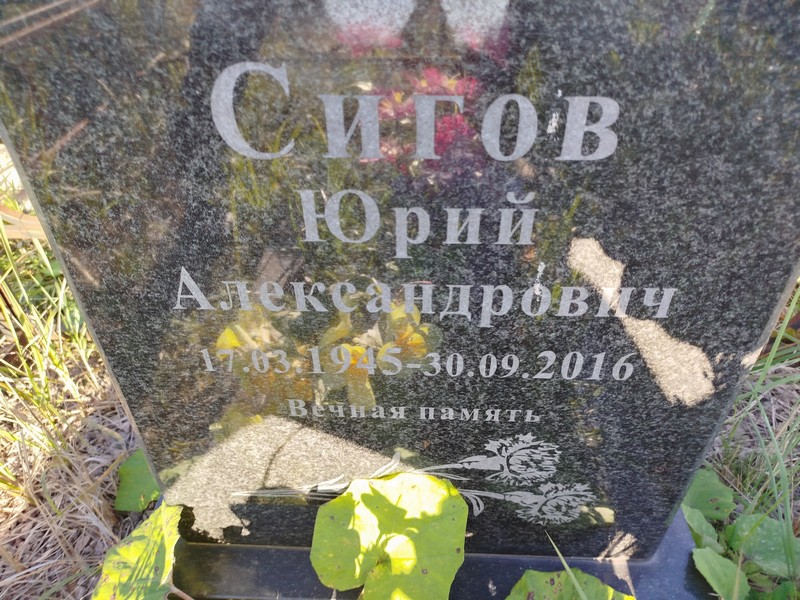 Сигов