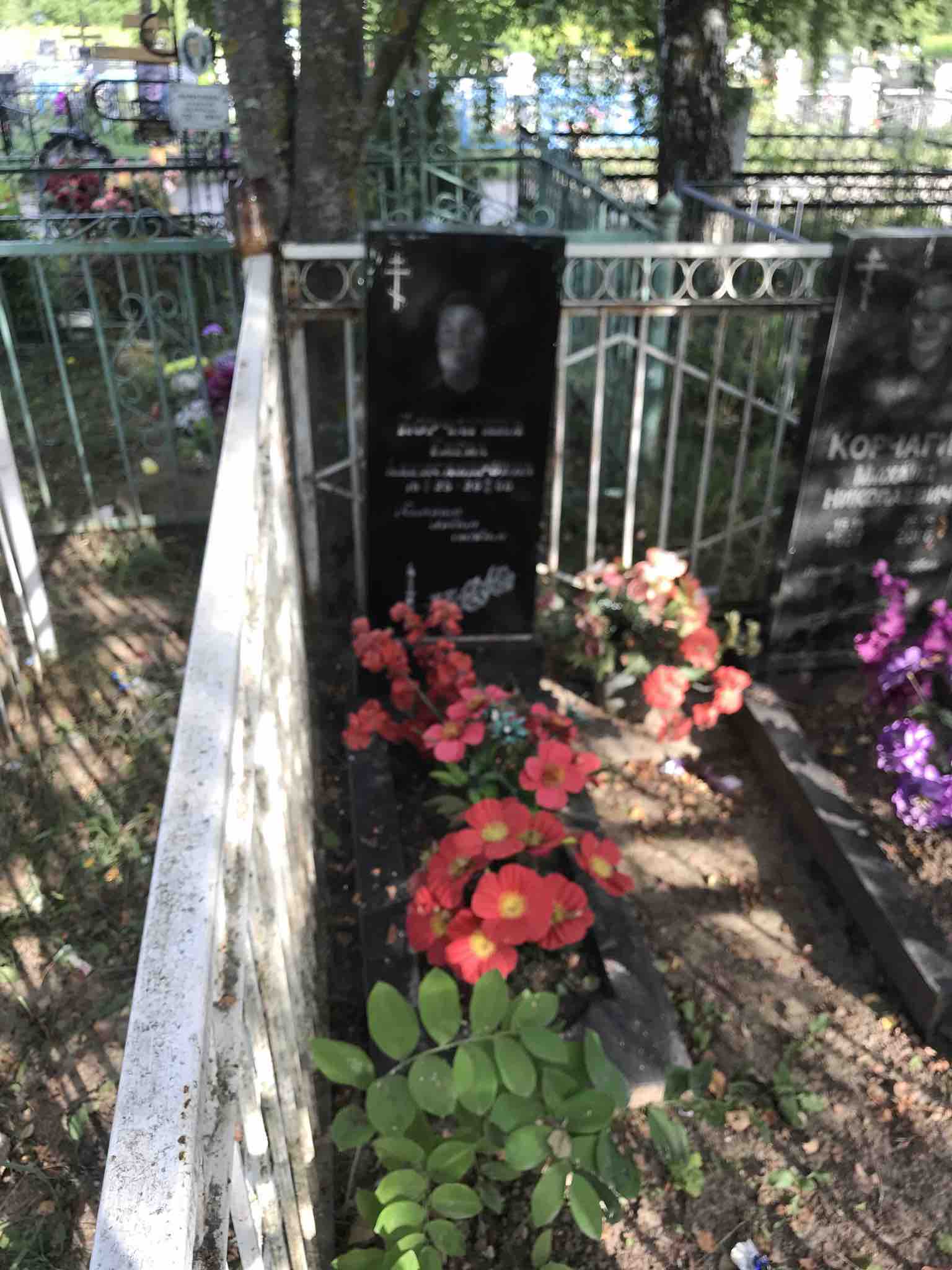 Корчагина Александра Михайловна