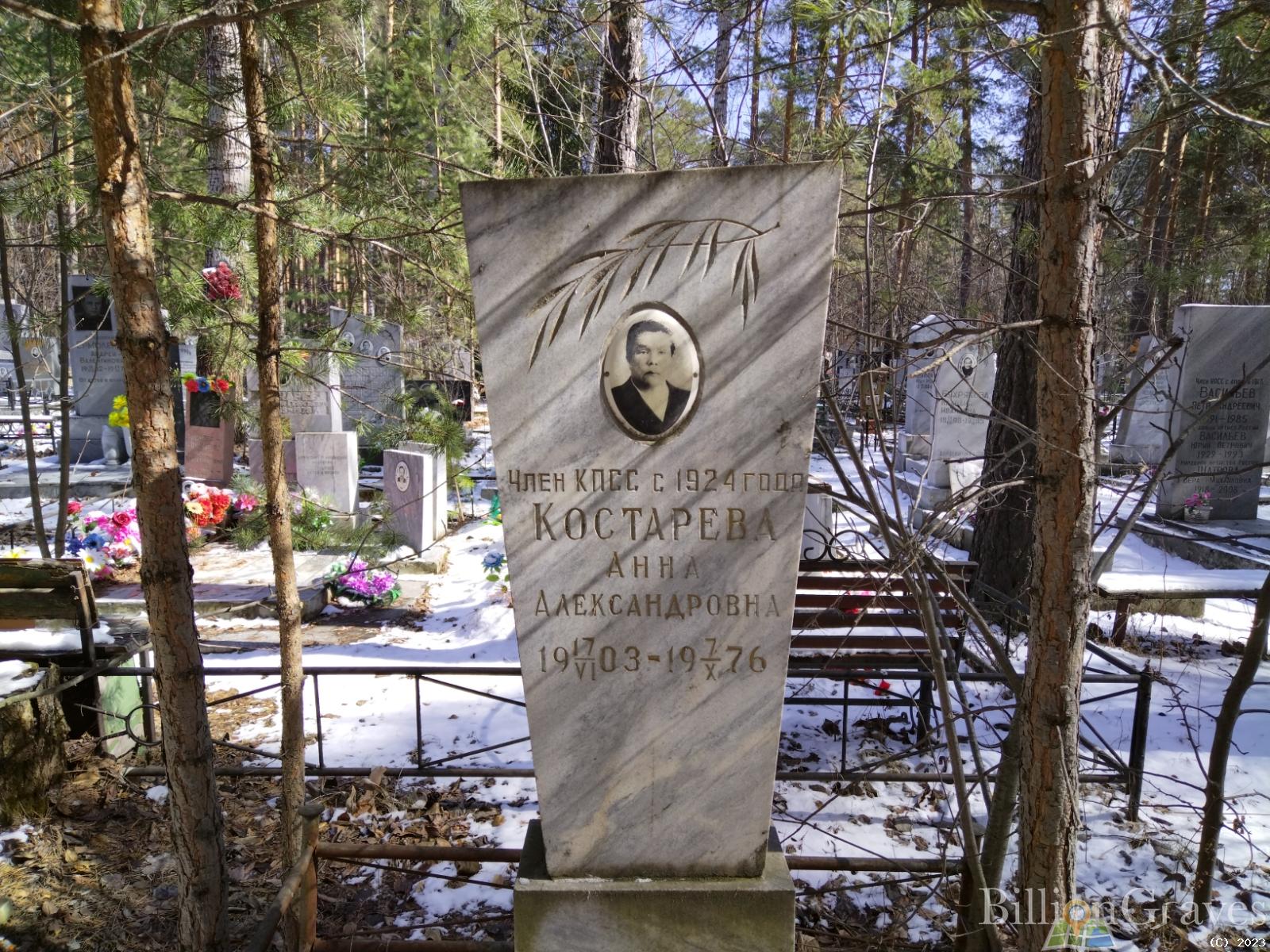 Костарева Анна Александровна