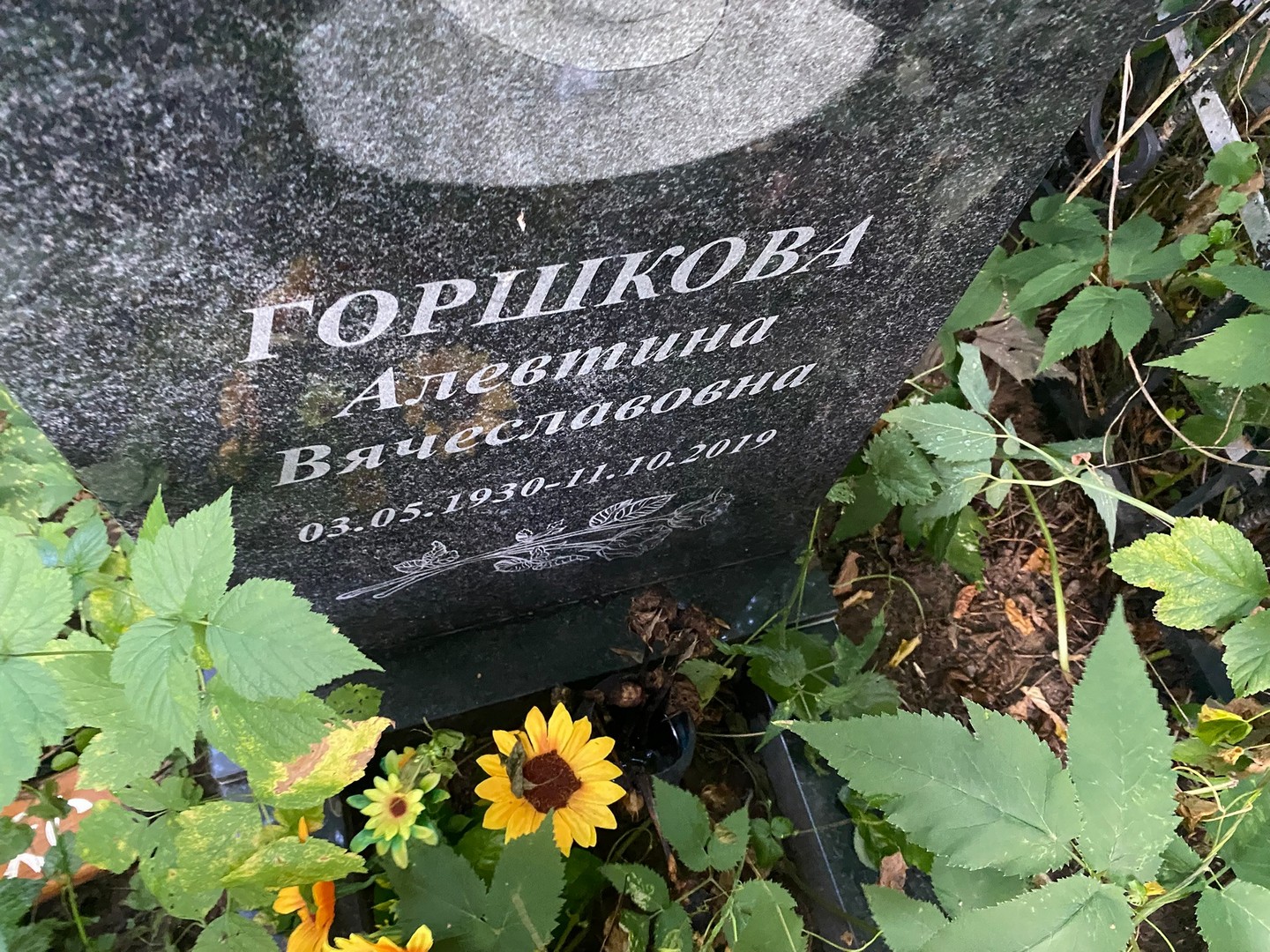 Алевтина Горшкова Вячеславовна