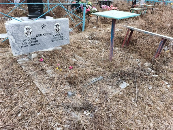 Доманин Аркадий Сергеевич