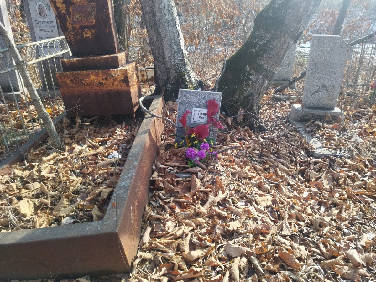 Голик Никита