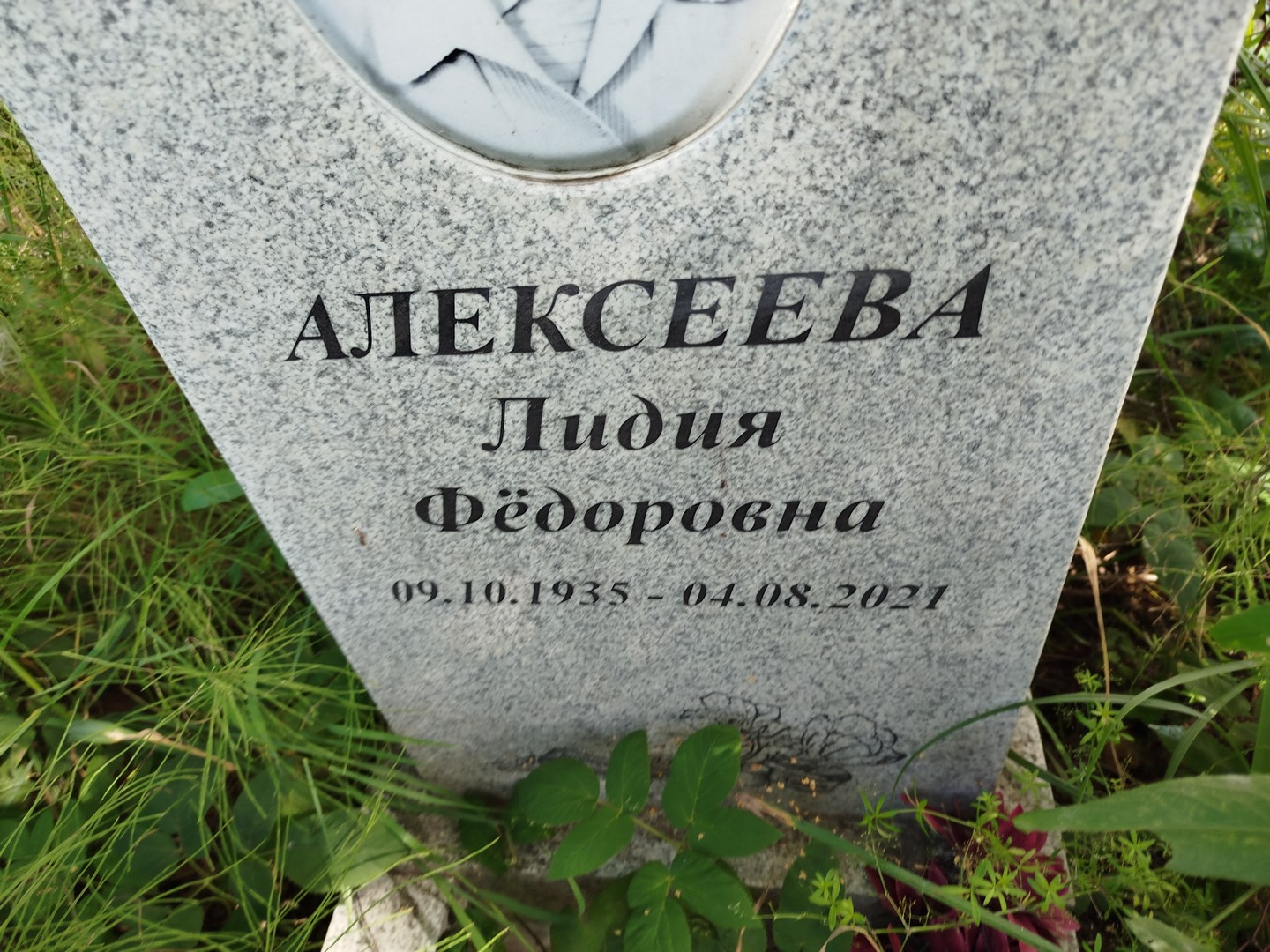Алексеева