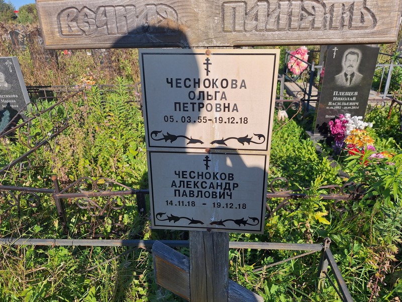 Чесноков