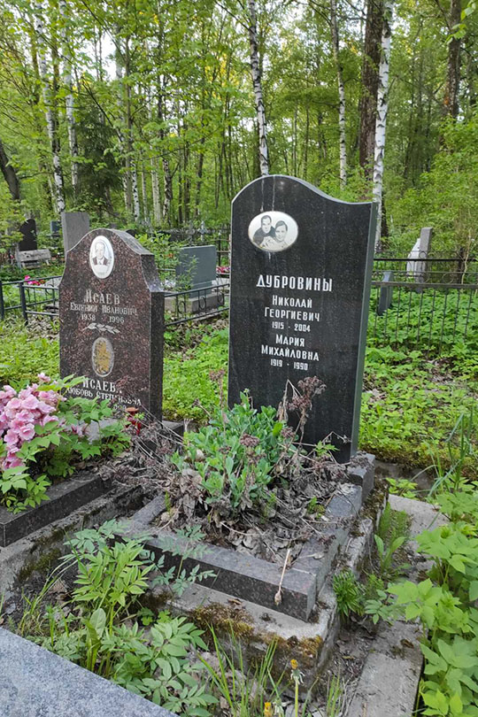 Дубровин Николай Георгиевич