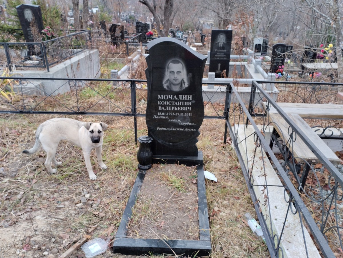 Мочалин Константин Валерьевич