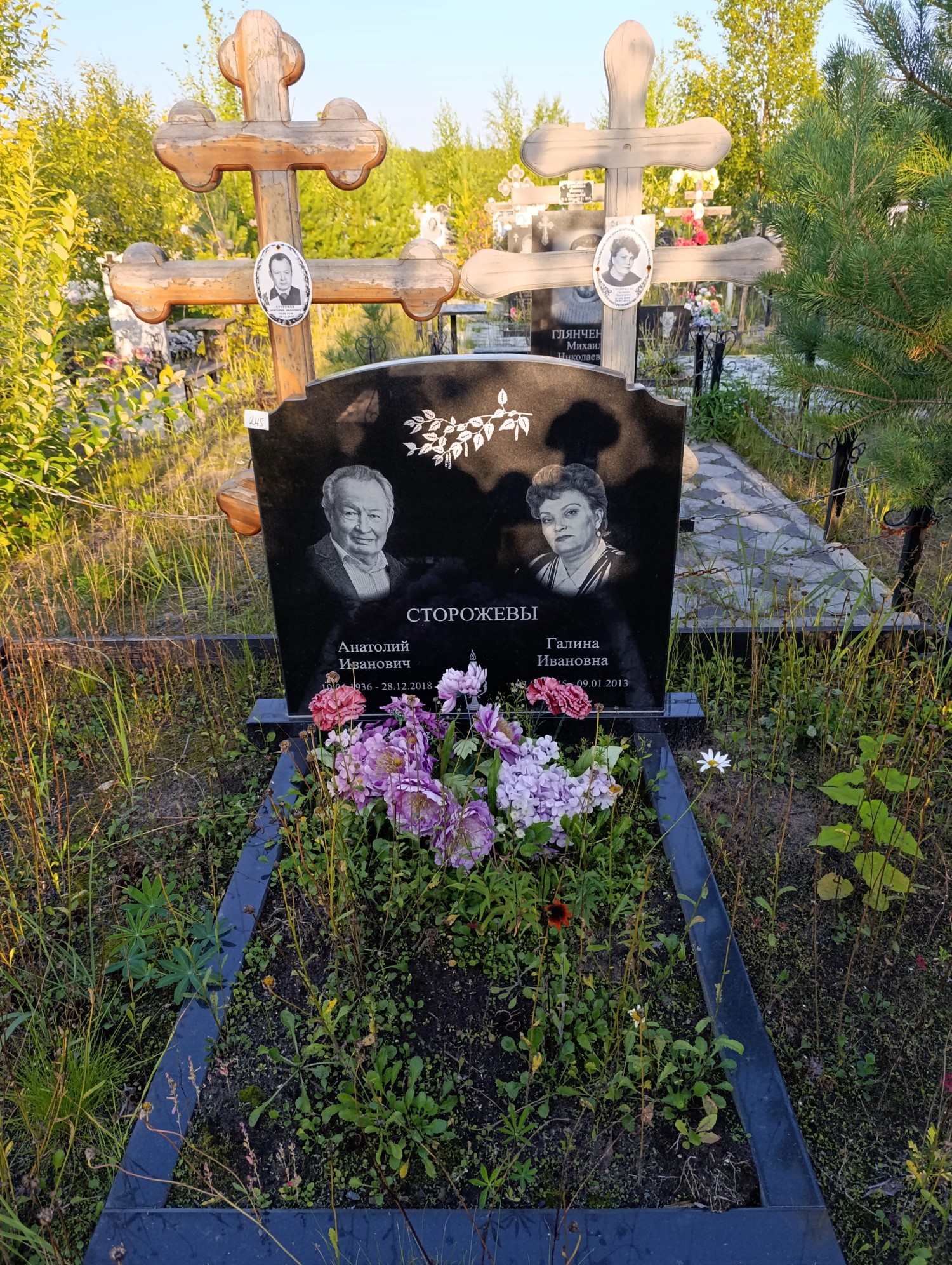 Сторожева Галина Ивановна