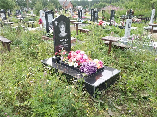 Цокова Елена Борисовна